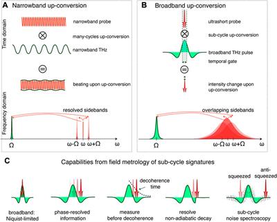 Resolving sub-cycle signatures: A perspective on hallmarks of terahertz metrology